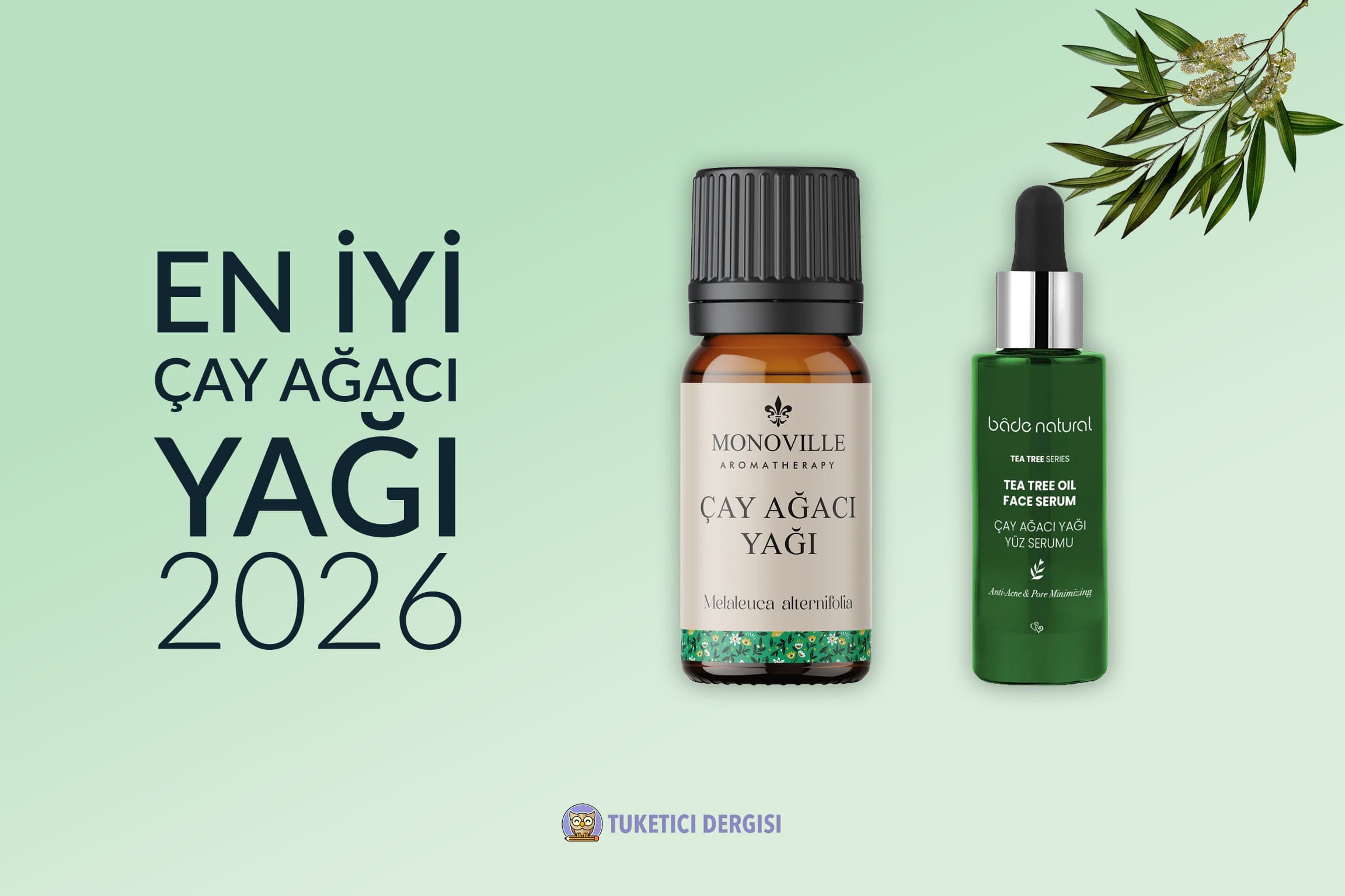 En İyi Çay Ağacı Yağı Tavsiyeleri