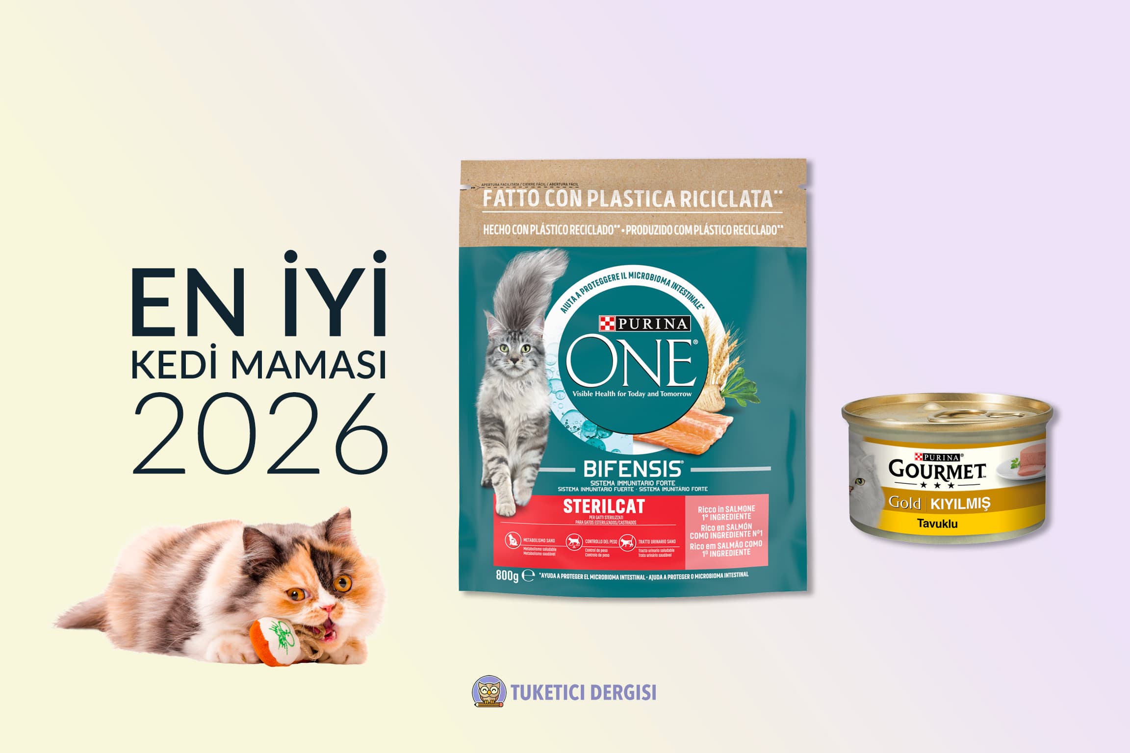 En İyi Kedi Maması Tavsiyeleri