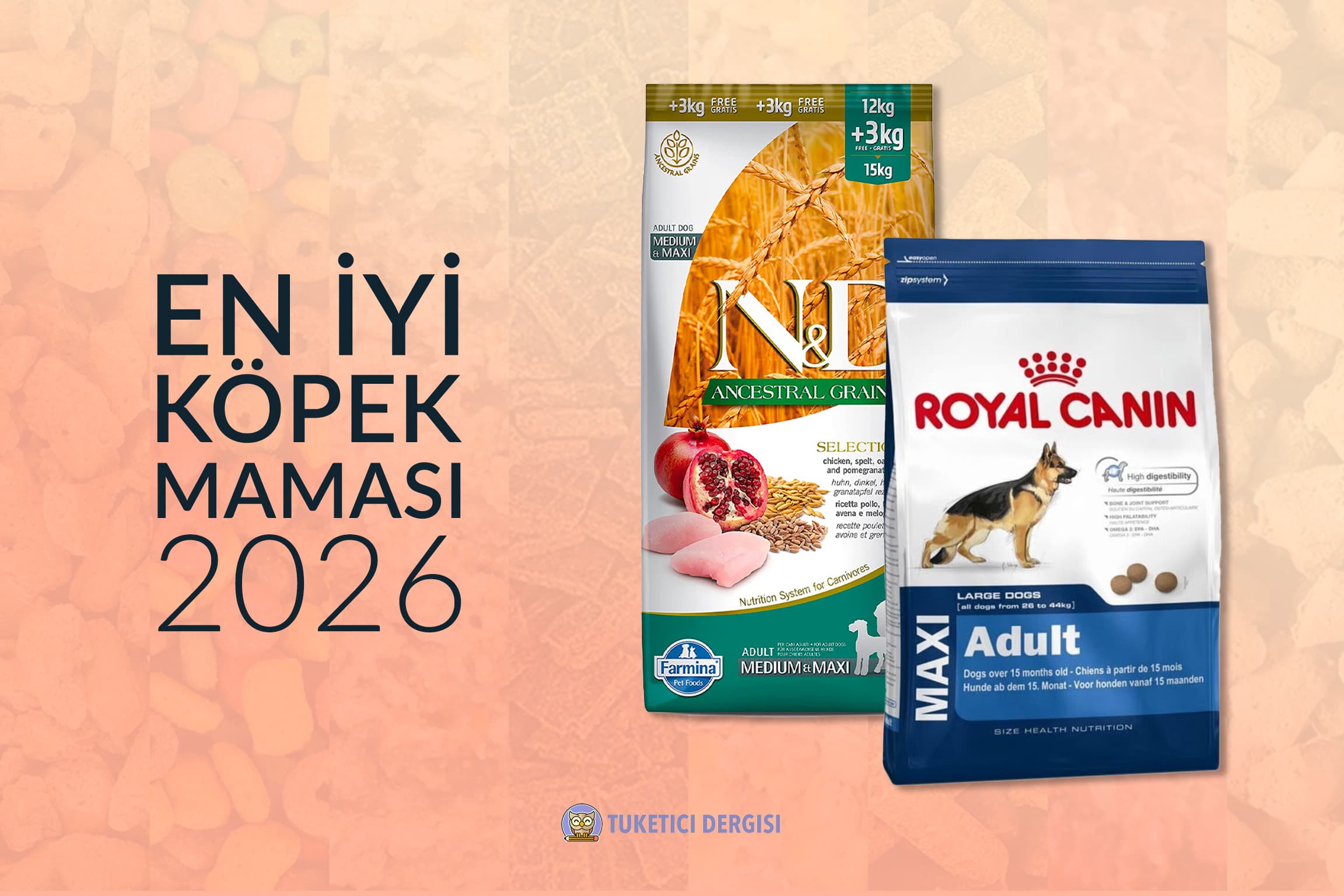 En İyi Köpek Maması Tavsiyeleri