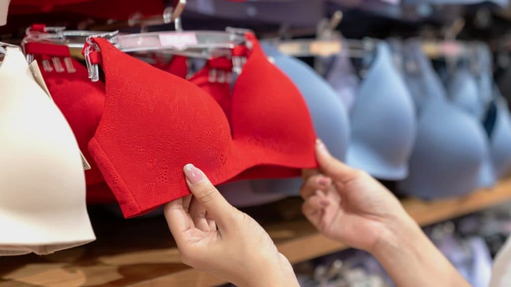 Toparlayıcı Sütyen Nedir